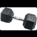 Rubber Incased Dumbbell Weight