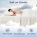 Dream Valley Ivory Comforters (10 Available)