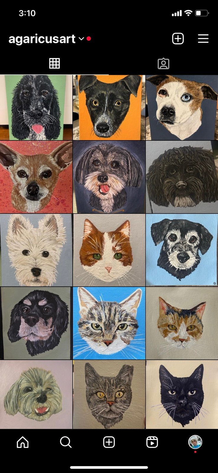 Pet Portrait Commissions