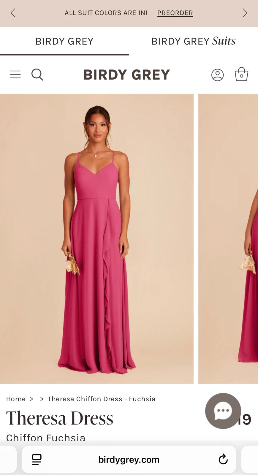 NWT Birdy Grey Theresa chiffon dress in fuchsia Size Large