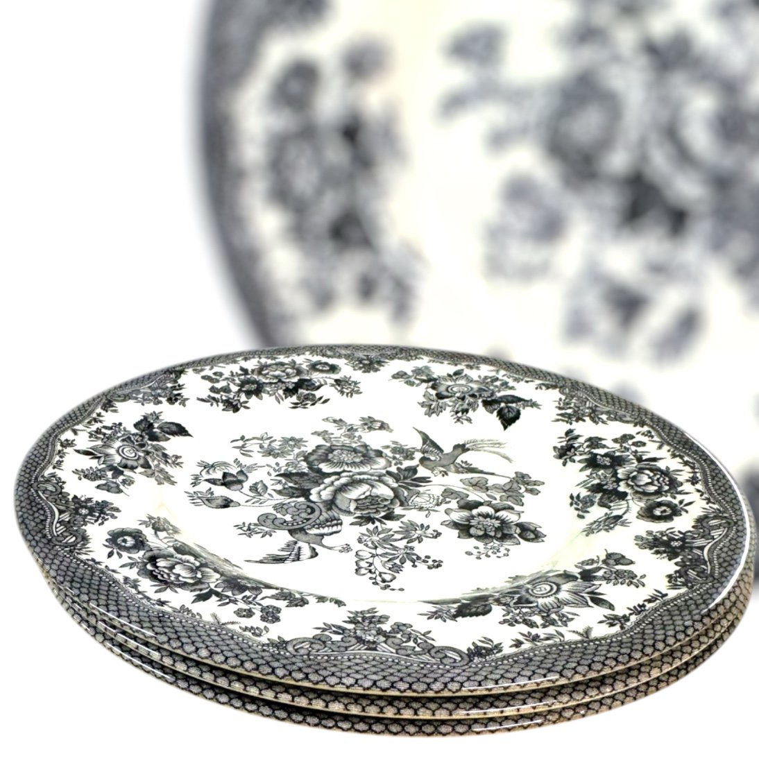 Royal Stafford Asiatic Pheasant Set Of 3 Salad / Starter Plates - UK Vintage