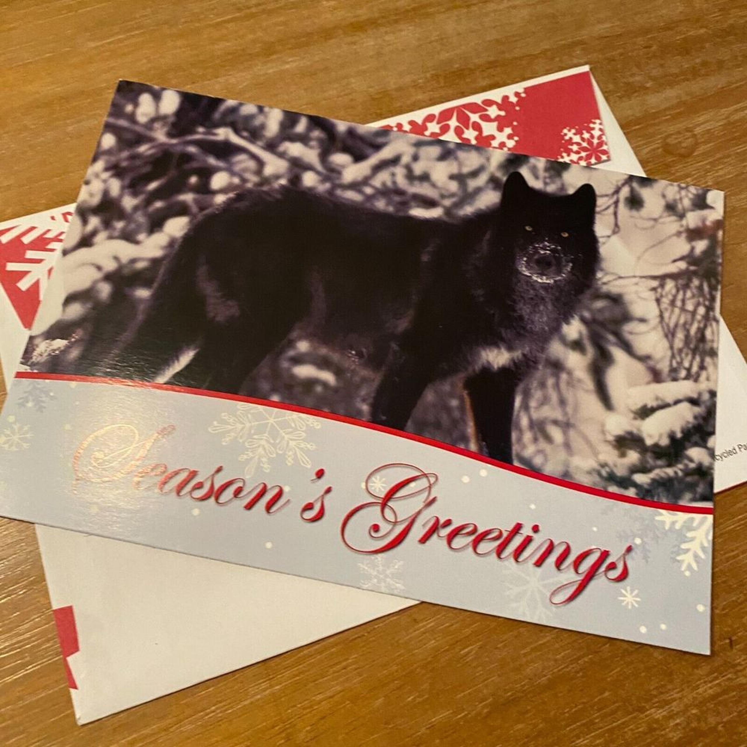 Defenders of Wildlife Black Wolf Winter Season Greeting Merry Christmas Card