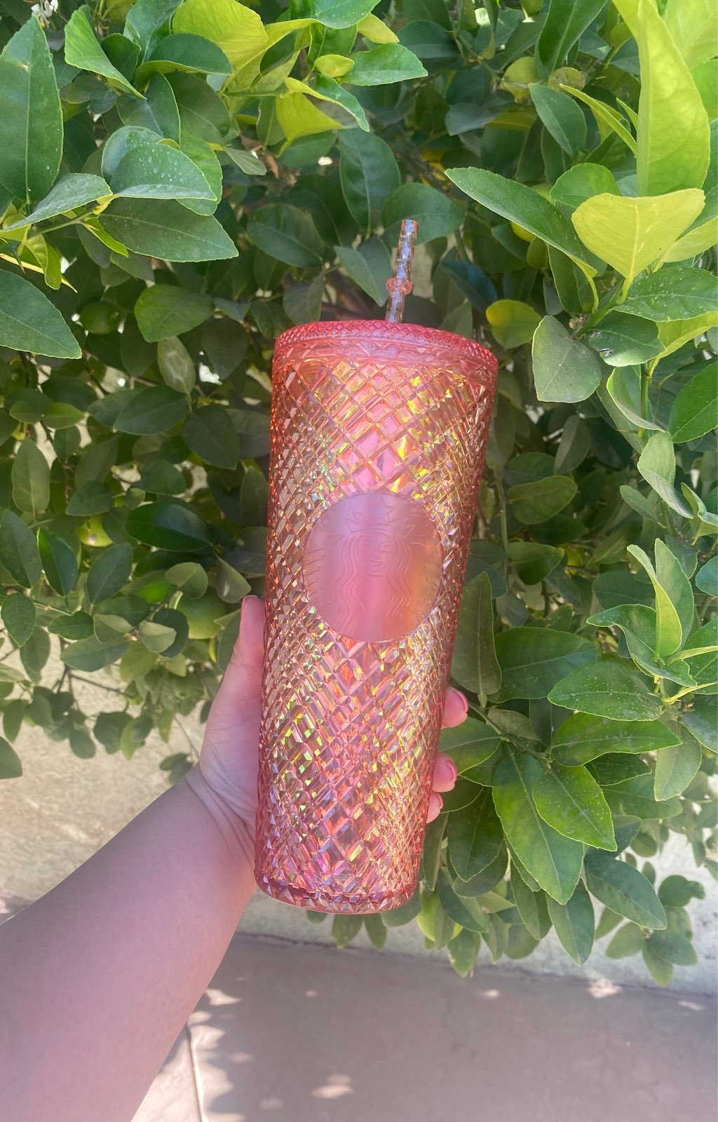 Starbucks tumbler