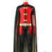 Robin costume