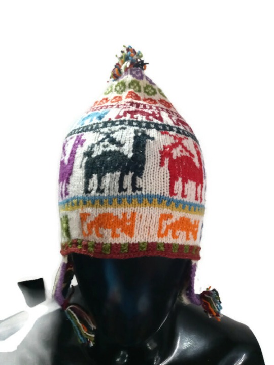 Unisex Chullo Woven in Multicolor Wool Handmade Andean Mountains