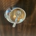 Sierra Modern Ocean Conch Salt Cellar with Spoon (silver and gold)