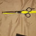 Paul Mitchell shears