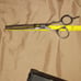 Paul Mitchell shears