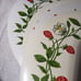 Vintage Vinyl Cushion Placemats Oval Strawberries Blossom Red Green set 4