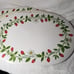 Vintage Vinyl Cushion Placemats Oval Strawberries Blossom Red Green set 4