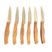 Chicago Cutlery Set of 6 Wooden Handled Steak Knives with Butcher Block