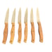 Chicago Cutlery Set of 6 Wooden Handled Steak Knives with Butcher Block