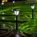 LAMTREE 24 Pack Solar Lights Outdoor LED Cool White