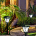 LAMTREE 24 Pack Solar Lights Outdoor LED Cool White