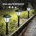 LAMTREE 24 Pack Solar Lights Outdoor LED Cool White