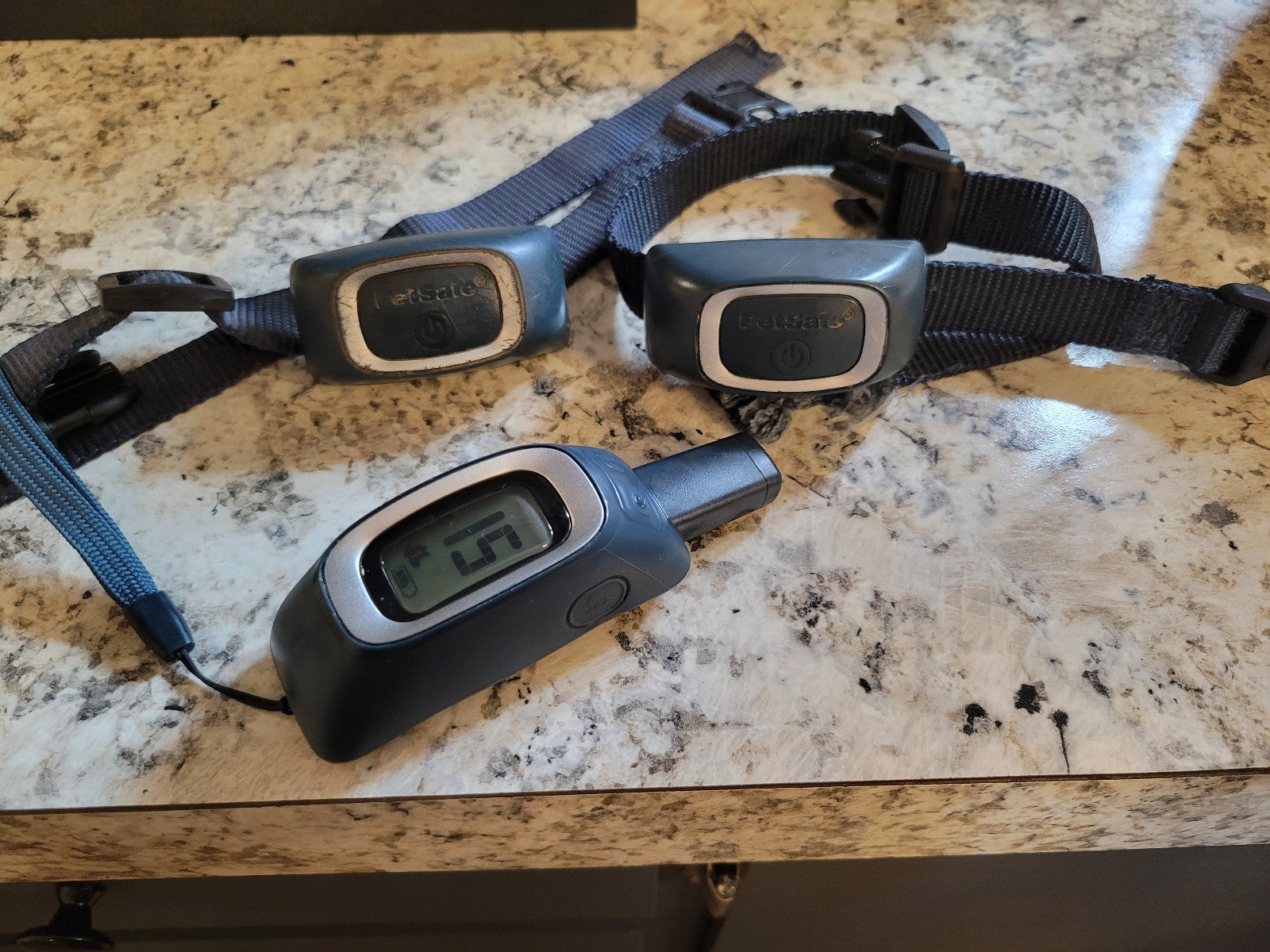 PetSafe set of 2 training collars