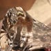 WATERFORD Crystal Vase
