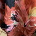 Anthropologie Floral Garden Stroll Midi Dress Size 10