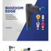 Massage gun