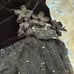 Playboy Hef's Naughty Angel Costume Womens XS Dark Sexy Halloween