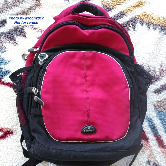Samsonite Travel Backpack