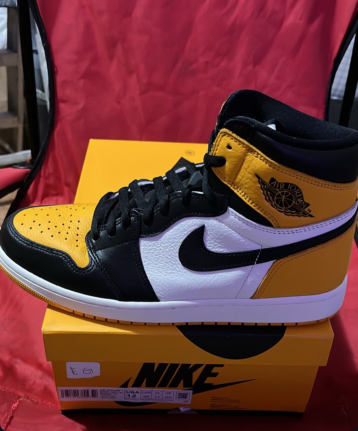 Jordan 1 size 12