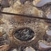 Kirks Folly Sun Brooch with Aurora Borealis Crystals Gold Tone 1.75 inch Wide