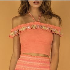Rahi Cali Crop Embroidered Halter Top h2