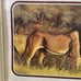 Pair of Vintage Lithographs Lion and Tiger Arthur A Kaplan Co Plate 11 and 12