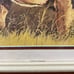 Pair of Vintage Lithographs Lion and Tiger Arthur A Kaplan Co Plate 11 and 12