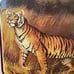 Pair of Vintage Lithographs Lion and Tiger Arthur A Kaplan Co Plate 11 and 12