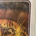 Pair of Vintage Lithographs Lion and Tiger Arthur A Kaplan Co Plate 11 and 12