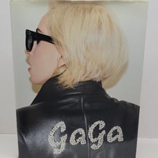 Lady Gaga Terry Richardson Photography Hardcover