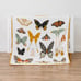 Clementine Kids Butterfly Collector’s Quilt