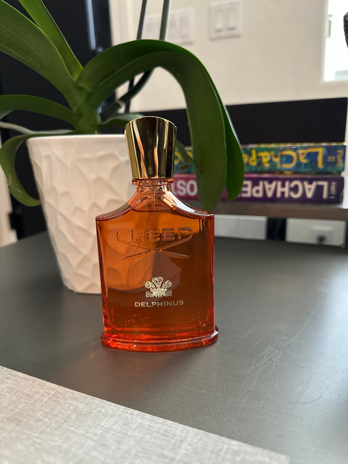 Creed Delphinus 100ml