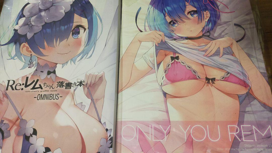 Re:ZERO - Starting Life in Another World - Rem Illustration Collection Set