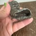 Vintage Soapstone Weathered Shoe Figurine Carving SIGNED Cecil Gwanzura Africa
