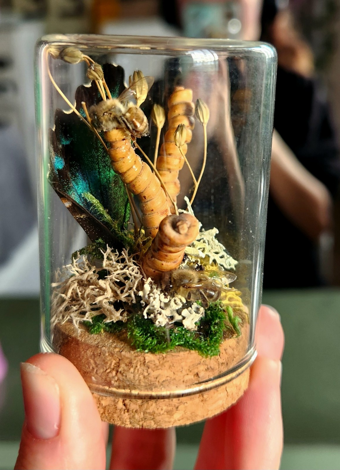 Oddity terrarium display with real bees