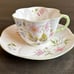SHELLEY DAINTY SHAPE WILD ANEMONE LIGHT GREEN TRIM CUP AND SAUCER