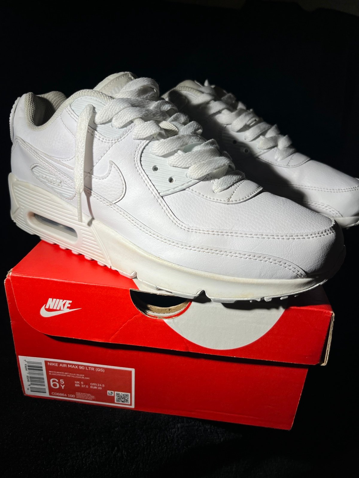 Nike Air Max 90 LTR