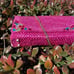 New handmade Crochet raffia should bag