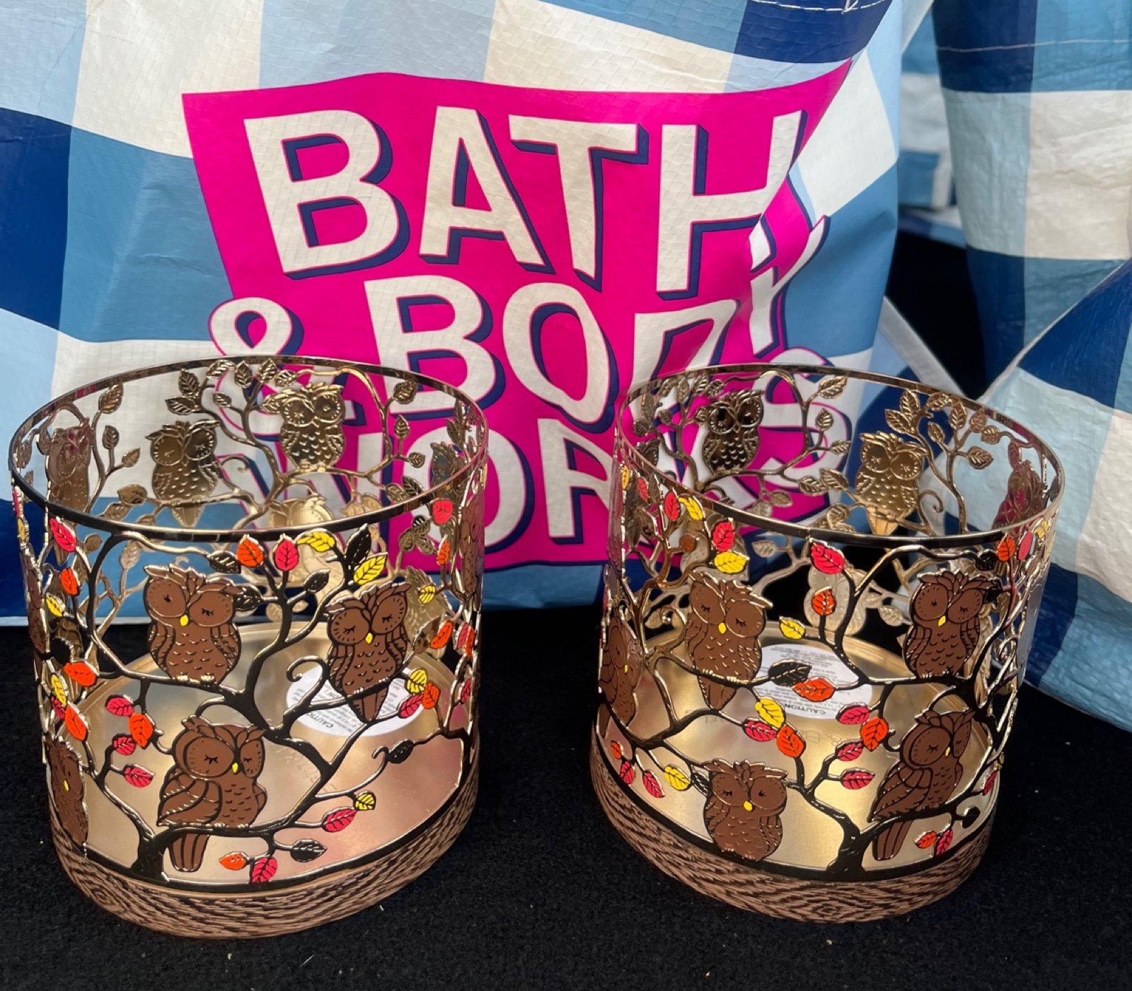 Two owl candle holders