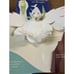 Robert Sabuda Pop Up Books Childrens Winters Tale American the Beautiful GOOD