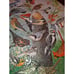 FAMILIAR BIRDS Springbok William Dilger Puzzle Round Circular Complete 500+ Pcs