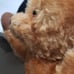Antique Mohair Teddy Bear