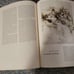Vintage Collectible The Horizon Book of the Renaissance by JH Plumb 1961 MINT