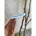 Persian Black Mulberry Fruit Tree - Incredible Flavor! Dwarfing Mulberry Tree