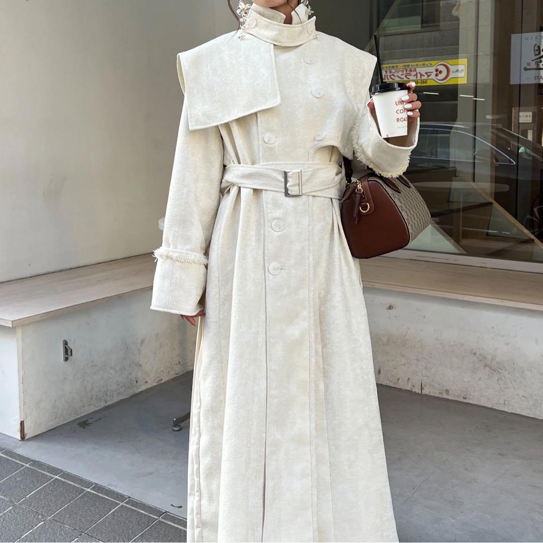 豪華 AÉRMA Coat Long Pleated Panel Layered ジャケット・アウター