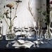 IKEA STORSINT Red Wine Glass, Clear, 6 Pack, 23 oz (203.962.98) NEW