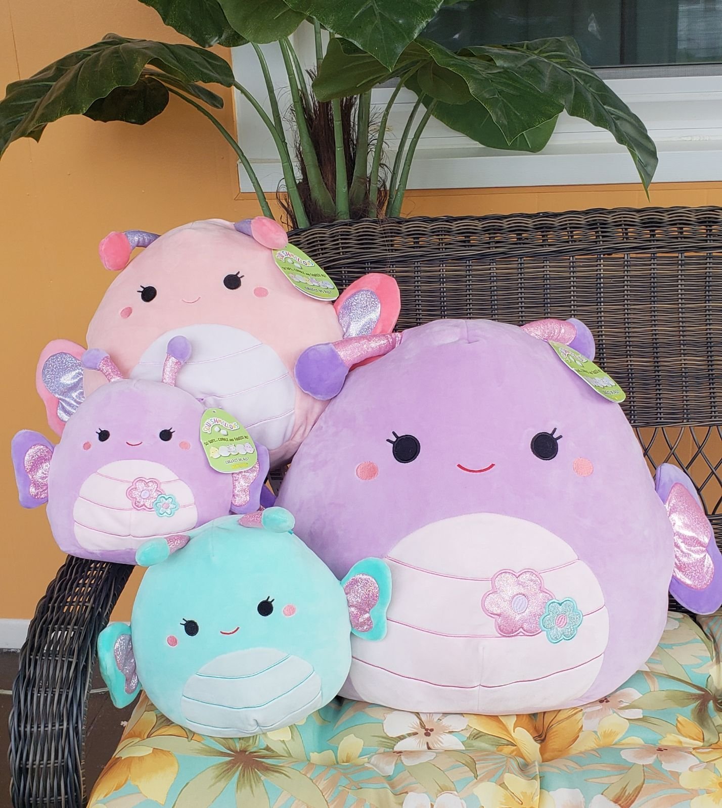 Squishmallow butterfly's bundle